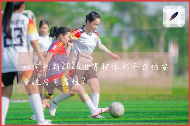 如何判断2026世界杯体彩平台的安全性与可靠性？