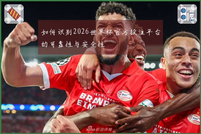 如何识别2026世界杯官方投注平台的可靠性与安全性