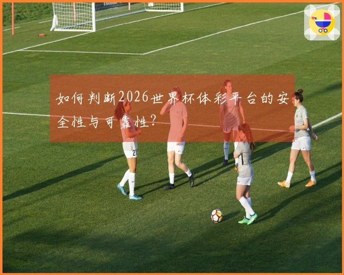 如何判断2026世界杯体彩平台的安全性与可靠性？